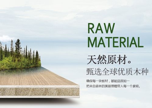 環(huán)保創(chuàng)新雙驅(qū)動，天山板材書寫發(fā)展輝煌新篇