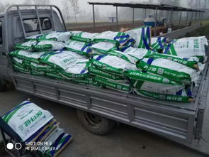 非瘟?xí)r代，裝卸品質(zhì) 守護(hù)養(yǎng)殖安全的堅(jiān)實(shí)防線